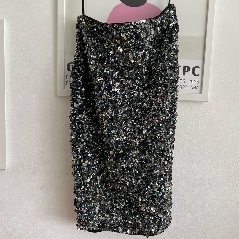 Haute Hippie sequin skirt